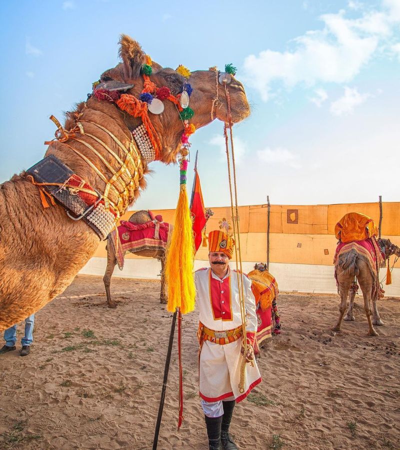 Rajasthan Travel Experience